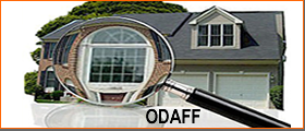 ODAFF Termite Report